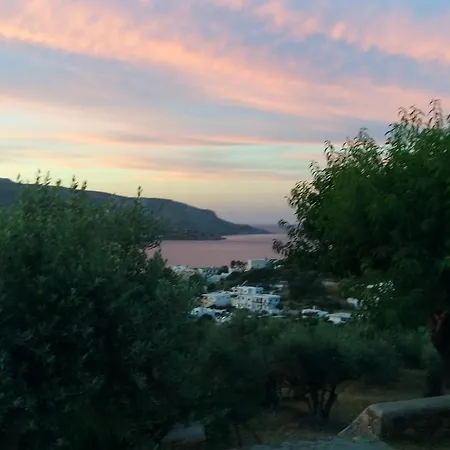 Il Canto Delle Cicale