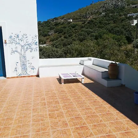 Il Canto Delle Cicale