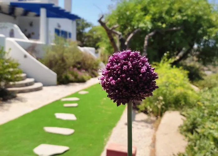 Il Canto Delle Cicale بيت ضيافة 4*