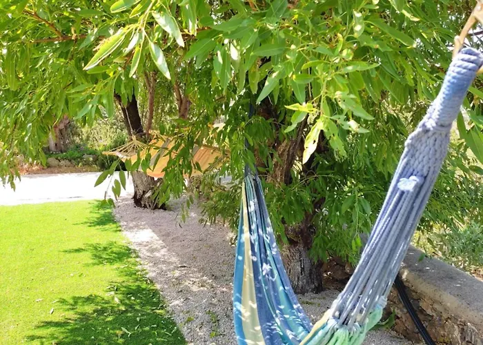 Il Canto Delle Cicale 4*