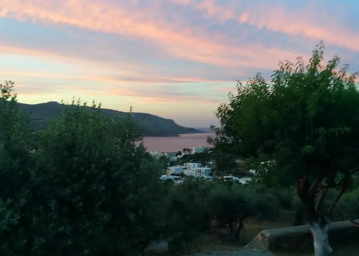 Il Canto Delle Cicale