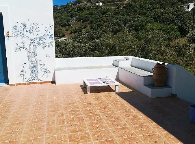 Il Canto Delle Cicale